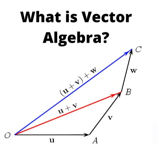 What is Vector Algebra?