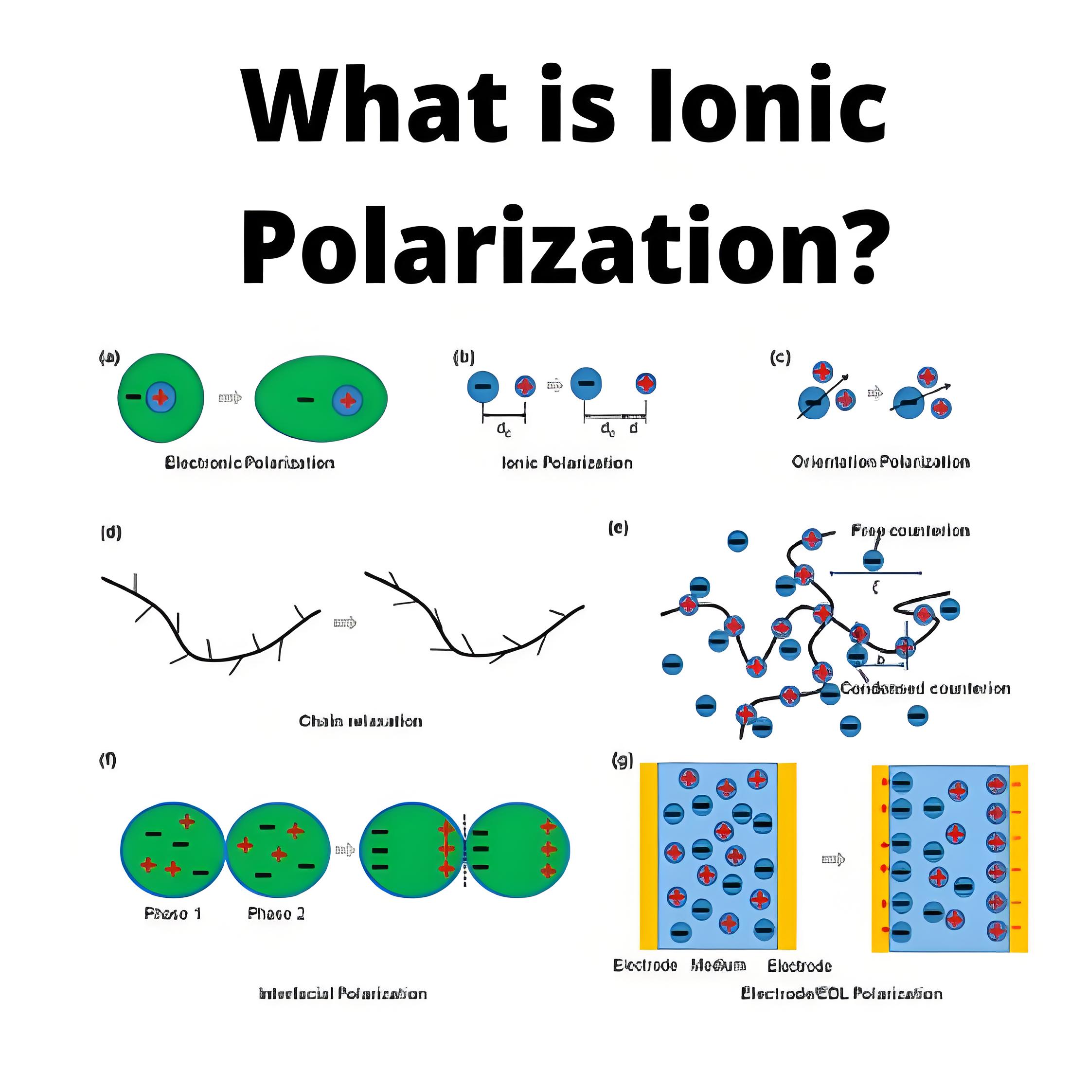 What is Ionic Polarization ?