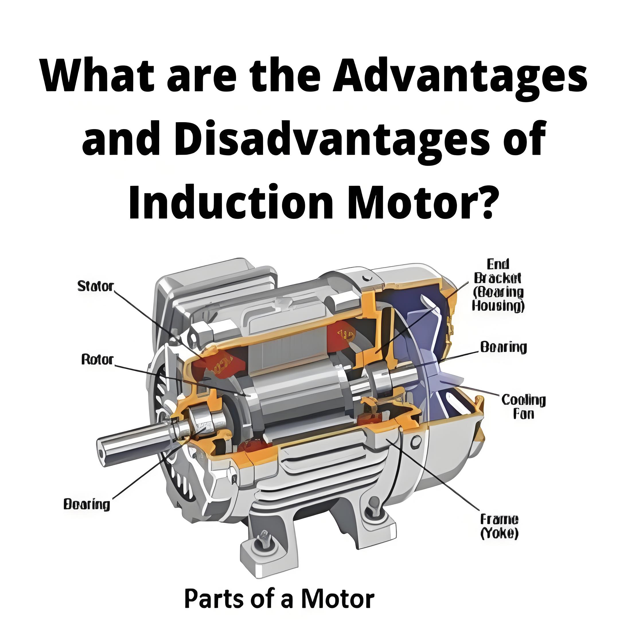 What  are the Advantages and Disadvantages of Induction Motor?