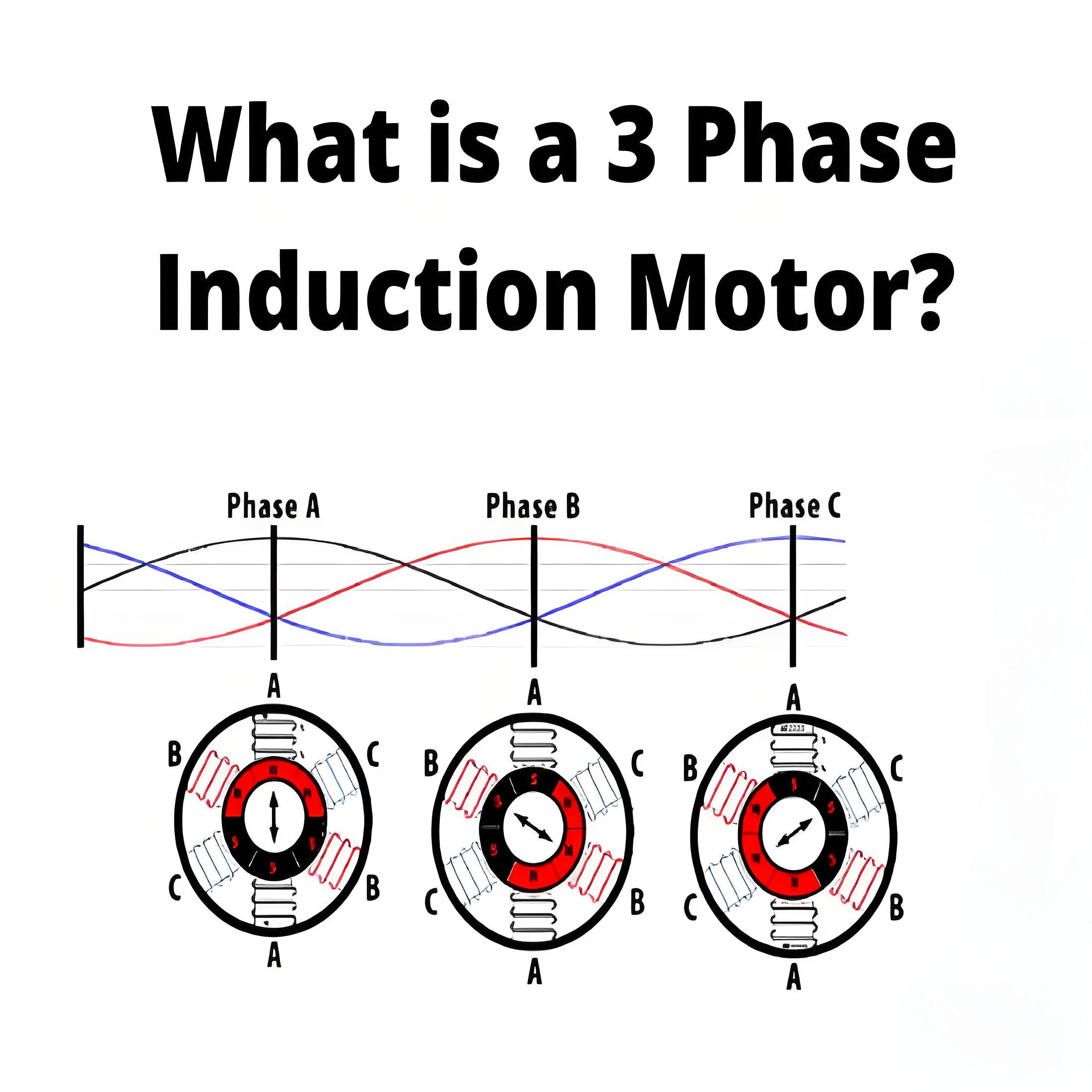 What is a  3 Phase Induction Motor ?