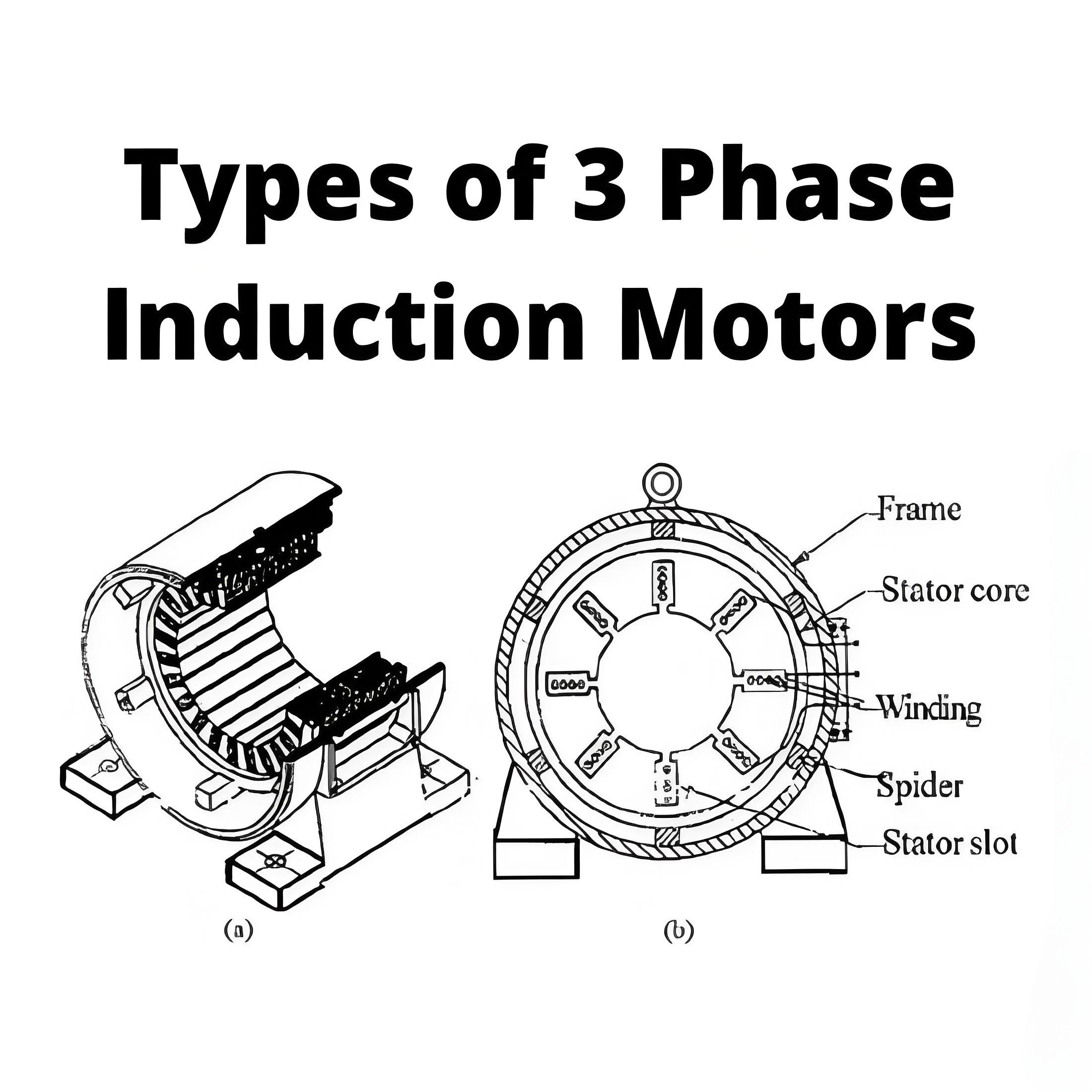 Types of 3 Phase Induction Motor