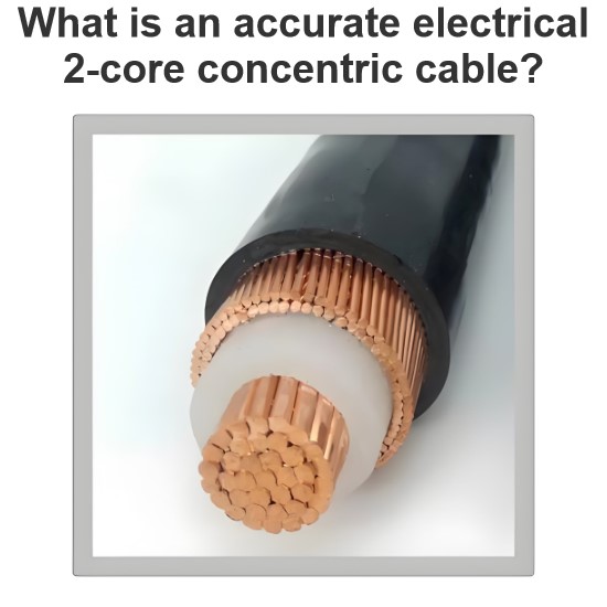 What is an accurate electrical 2-core concentric cable?