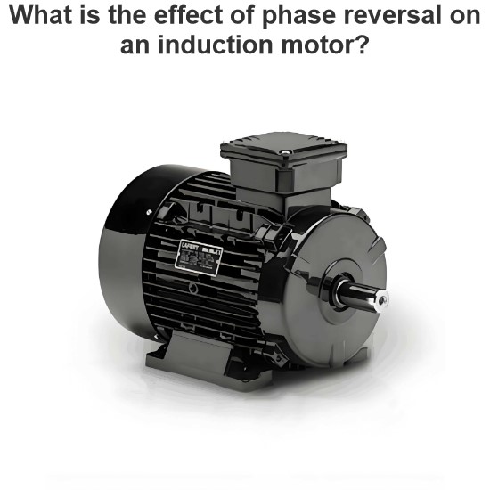 What is the effect of phase reversal on an induction motor?