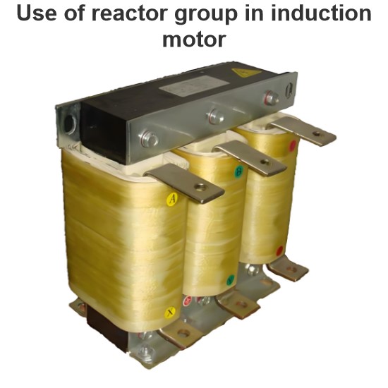 Use of reactor group in induction motor