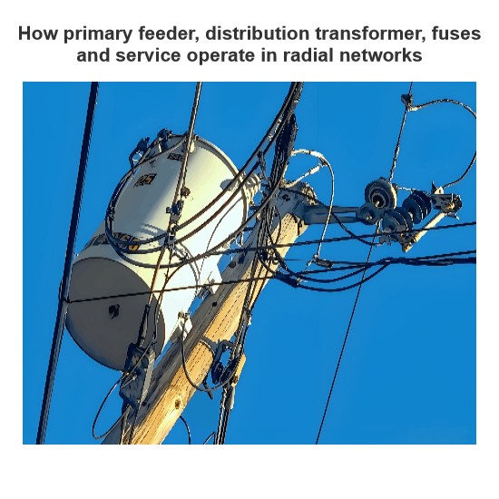 How primary feeder, distribution transformer, fuses and service operate in radial networks