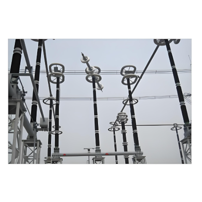 Handling Plan for Insulator Damage Constituting Severe or Critical Defects