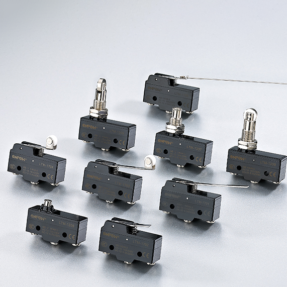 MT Series Micro Switch