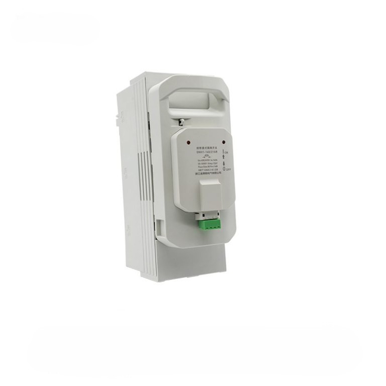 DNH1-160/21GR 2P fused switch