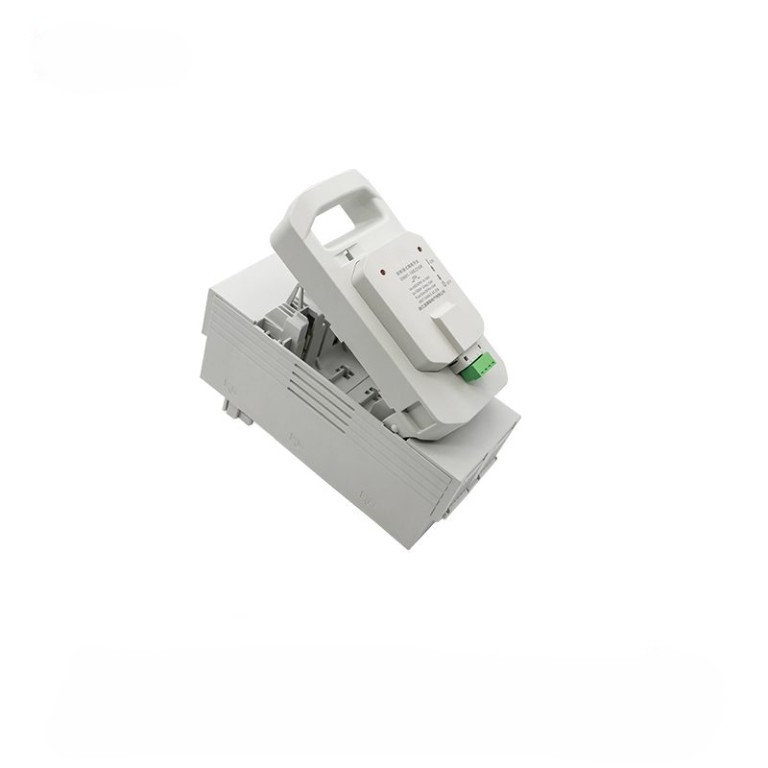 DNH1-160/21GR 2P fused switch