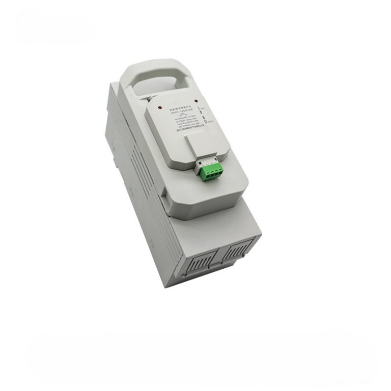 DNH1-160/21GR 2P fused switch