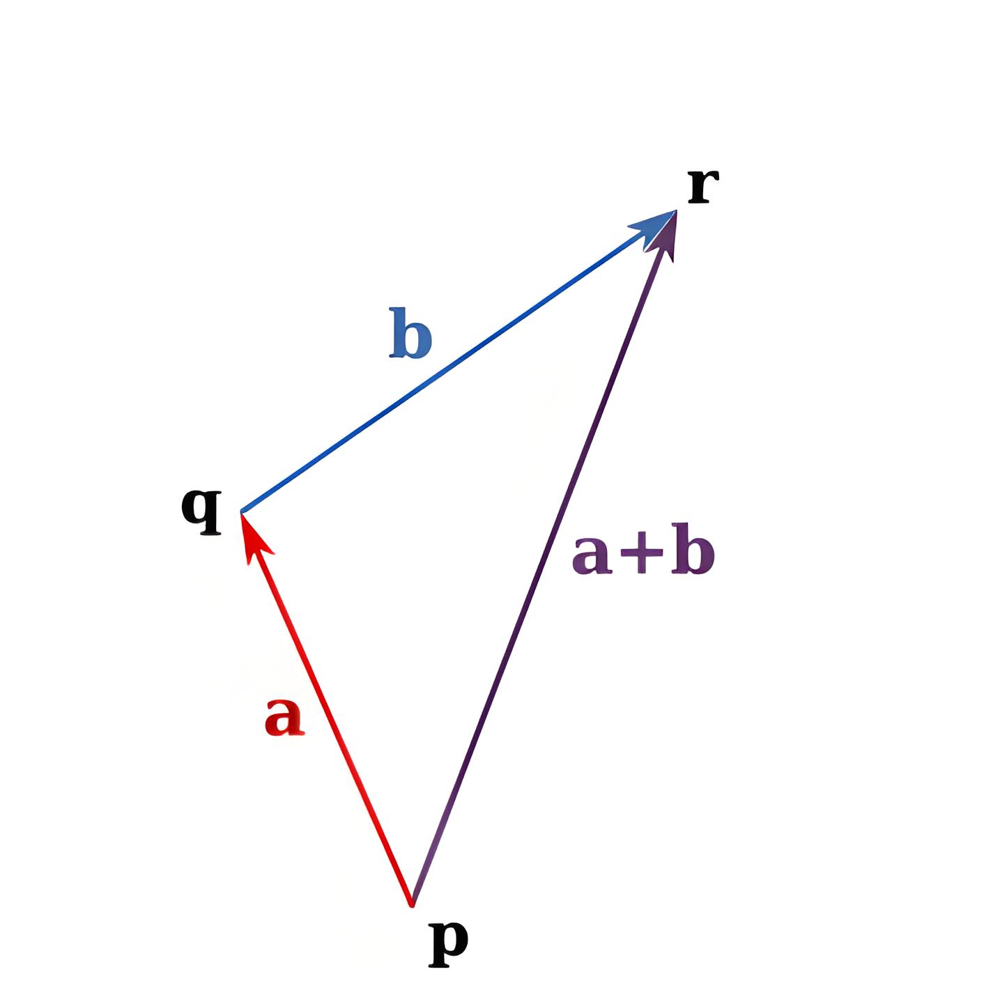 向量插图.jpg