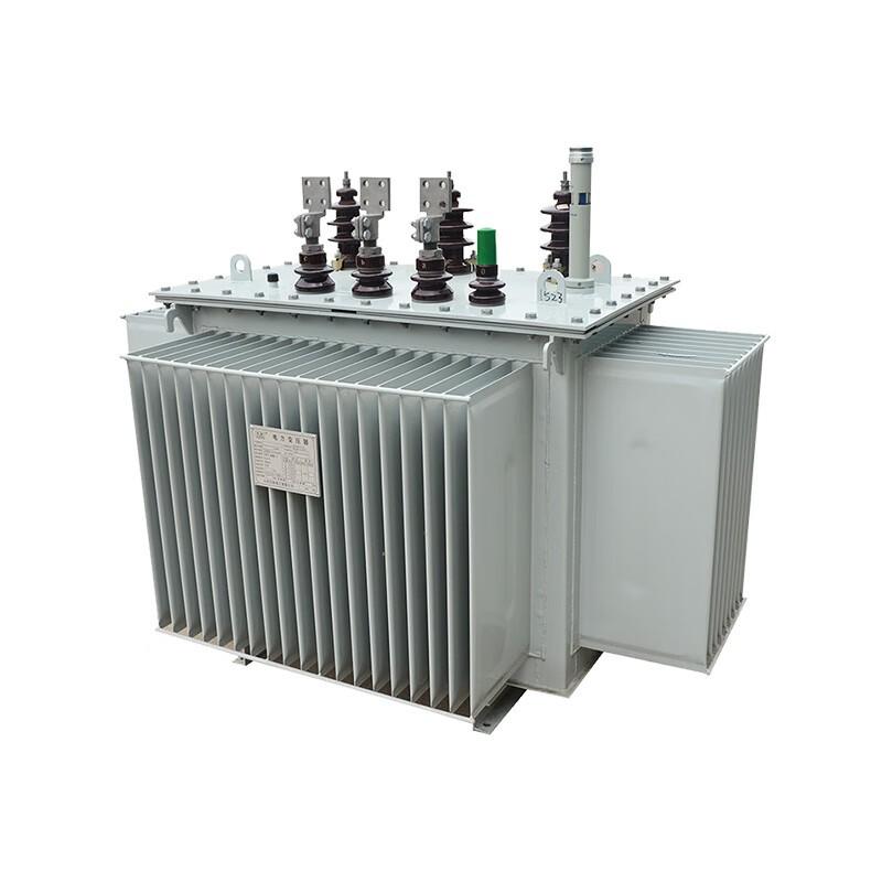 Analysis of Lightning Protection Measures for Distribution Transformers