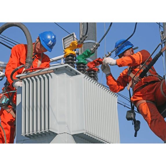 Riskidentigo kaj Kontrolaj Meroj por Anstataŭigo de Distributransformilo