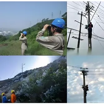 Remote OM Technical Solution for South Africa Distribution Lines - RWZ-1000 Cloud-Based Monitoring