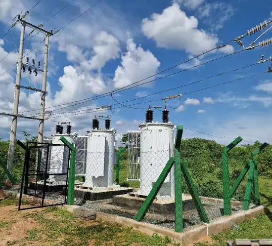 Rockwill Special-Environment Voltage Regulator:
Power Distribution Upgrade Project in African Tropical Savanna