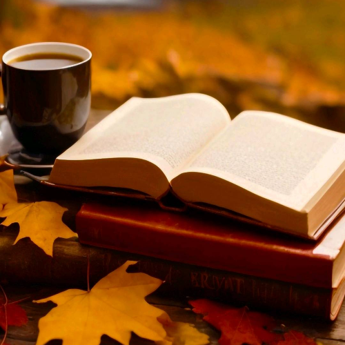 Electrical Share Knowledge.