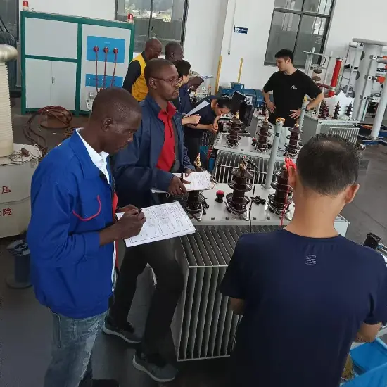 Celebrating the Successful Delivery of Vziman Power Transformers' US Project