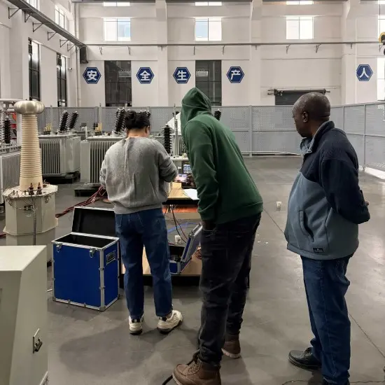 Vziman Transformers' 20,000 kVA Power Transformer Successfully Passes Acceptance Inspection by Ethiopian Client