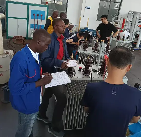 Rockwill Group Welcomes African Power Delegation: Deepening Technical Exchanges and Empowering Regional Grid Modernization