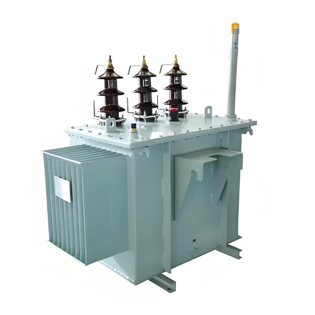 15kV 24kV 33kV 44kV High Voltage Oil Immersed Toroidal Transformer for Efficient Power Distribution
