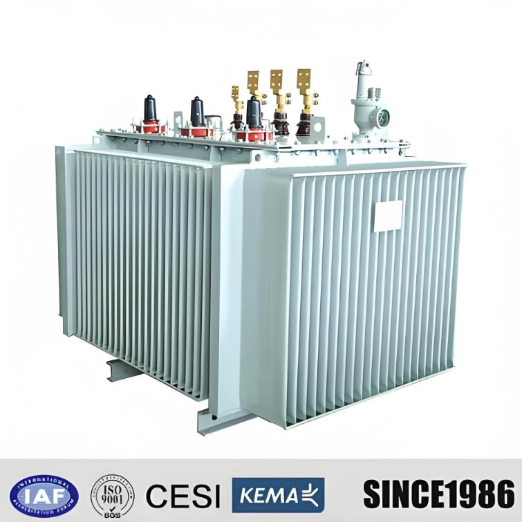 Durable H61 H59 5.5 kV 13.2kV 15kV 33kV Power Distribution Transformer for Sale
