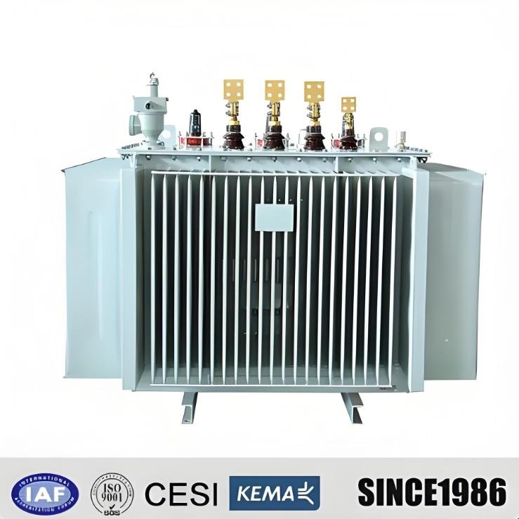 Durable H61 H59 5.5 kV 13.2kV 15kV 33kV Power Distribution Transformer for Sale
