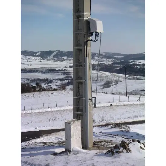 LV pole mounted Circuit breaker D165T