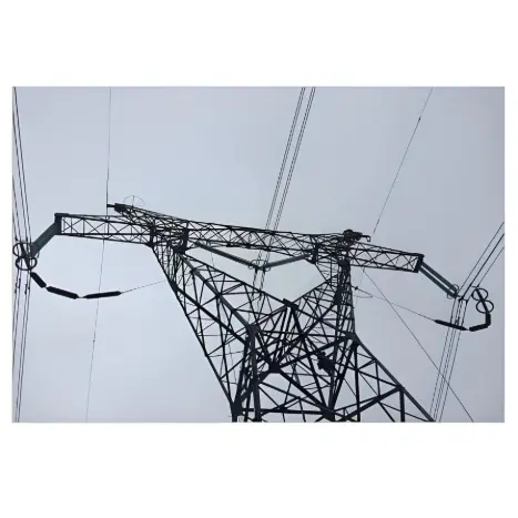 110 - 500kV Composite-Housed Line Surge Arresters