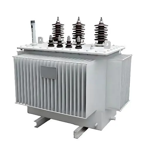 Customization 11kV 20kV 24kV 33kV Three Phase Oil Immersed Distribution Transformer