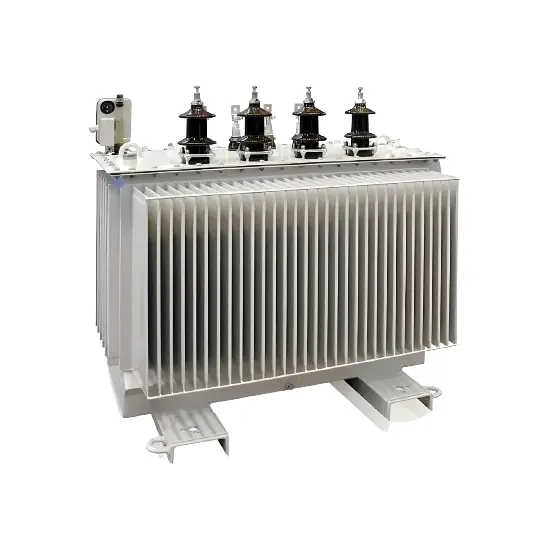 11kV 15kV 20kV 22kV Three-Phase Oil-Immersed Earthing/Grounding Transformer China Manufacturer