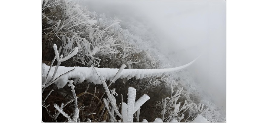 Ice Buildup (Icing) Faults.jpg