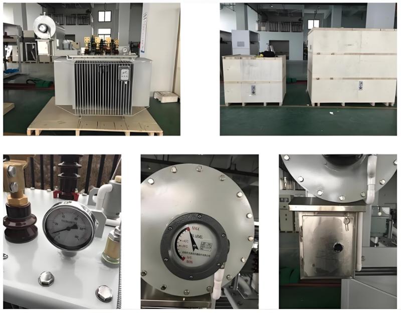 11kV 33kV 35kV 44kV Pole Mounted High Voltage Oil Immersed Toroidal Power Transformer