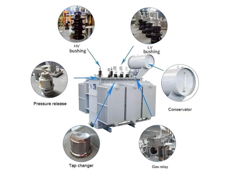 Oil-immersed Transformer