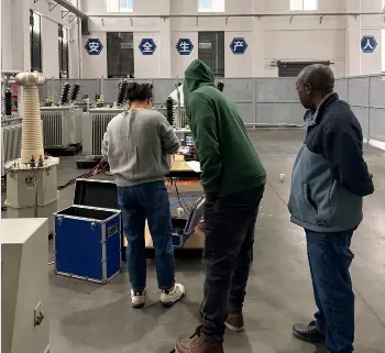 Overseas Customers Visit Rockwill Electric to Explore New Paths for International Cooperation in Power Equipment