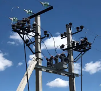 Vietnam & Indonesia Exclusive Primary-Secondary Integrated Vacuum Circuit Breaker Solution for Rural Grid Infrastructure — Ultra-Simple Installation