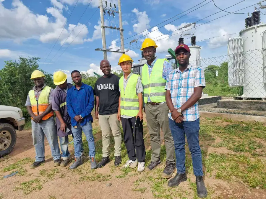 RW Energy Achieves Key Milestone in 33kV Distribution Grid Upgrade Project with TANESCO Tanzania